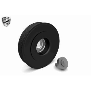 Alkūninio veleno skriemulių rinkinys VAICO V46-0787