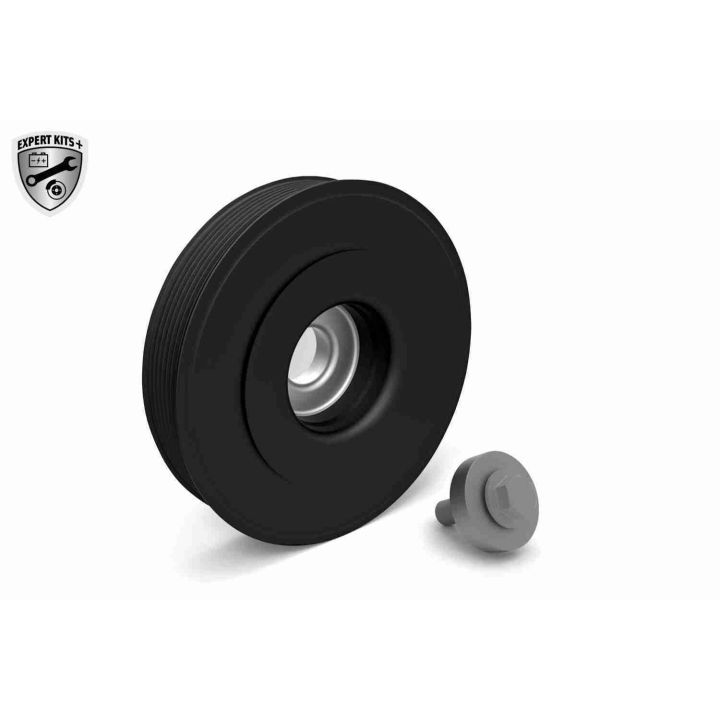 Alkūninio veleno skriemulių rinkinys VAICO V46-0787