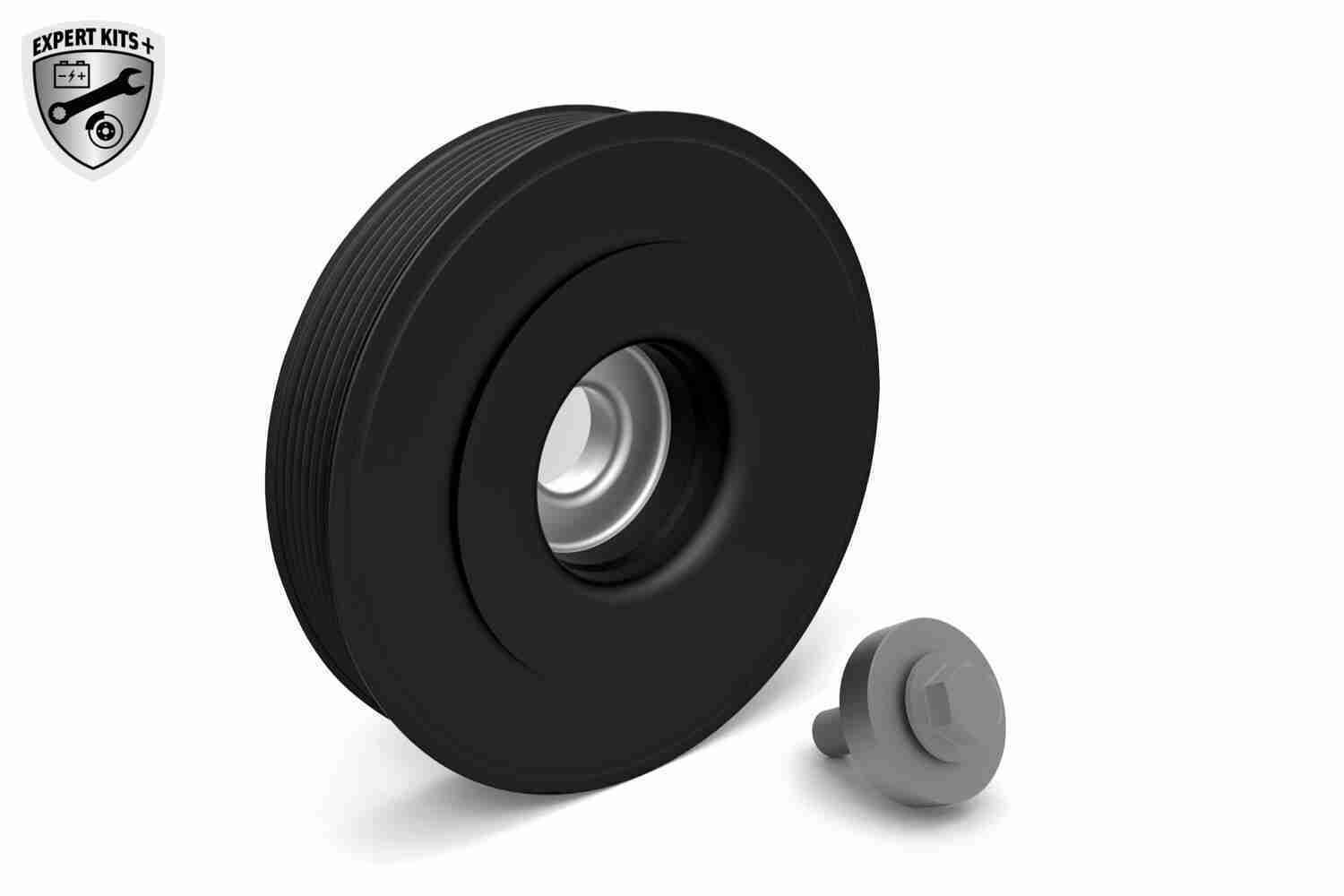 Alkūninio veleno skriemulių rinkinys VAICO V46-0787