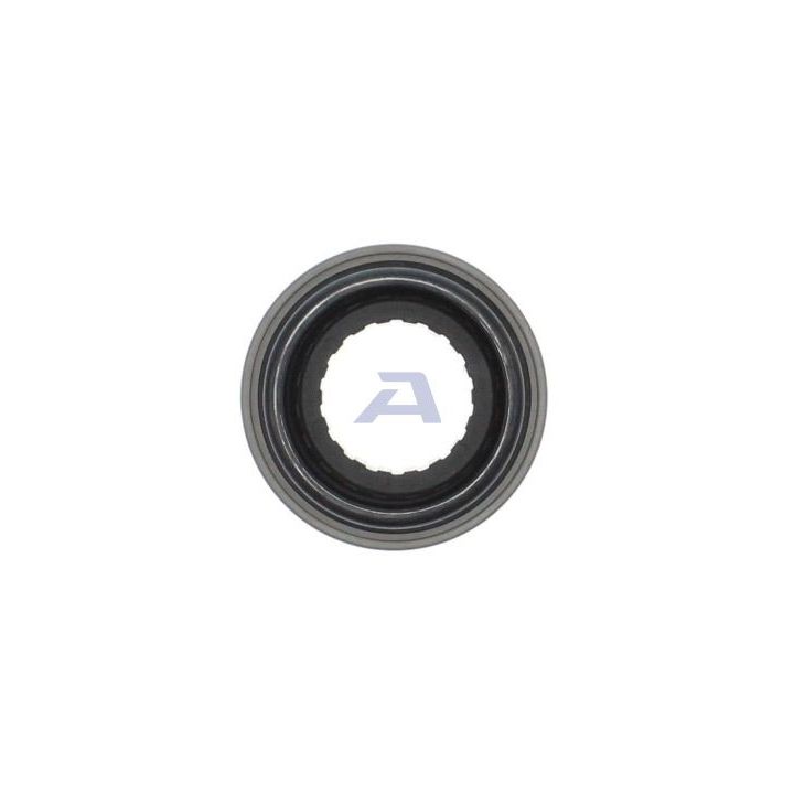 Sankabos paleidiklis AISIN BK-002