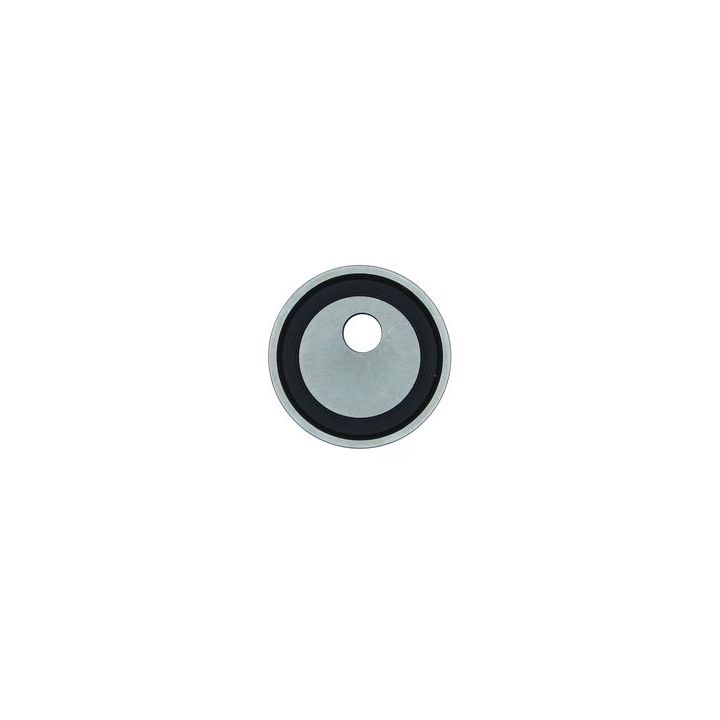 įtempiklio skriemulys, paskirstymo diržas AISIN AGT-008