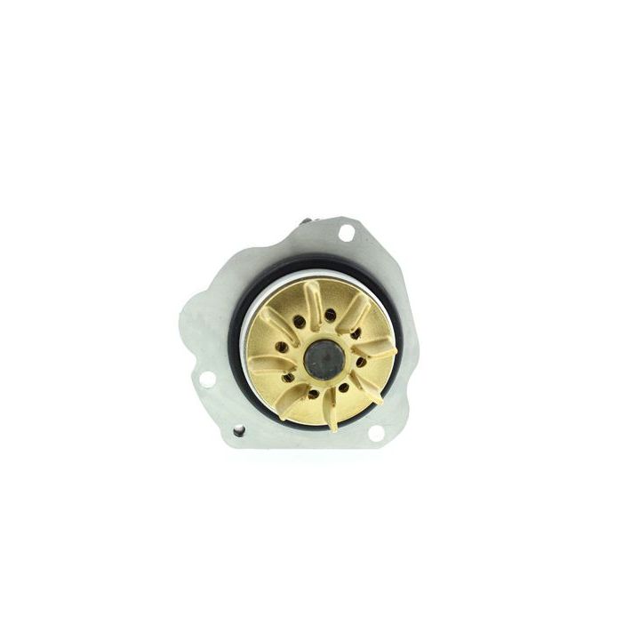 Vandens siurblys, variklio aušinimas AISIN WE-CI09