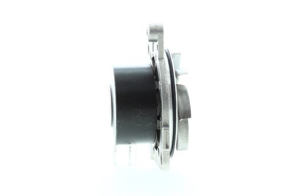 Vandens siurblys, variklio aušinimas AISIN WE-FI13