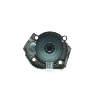 Vandens siurblys, variklio aušinimas AISIN WE-FI19