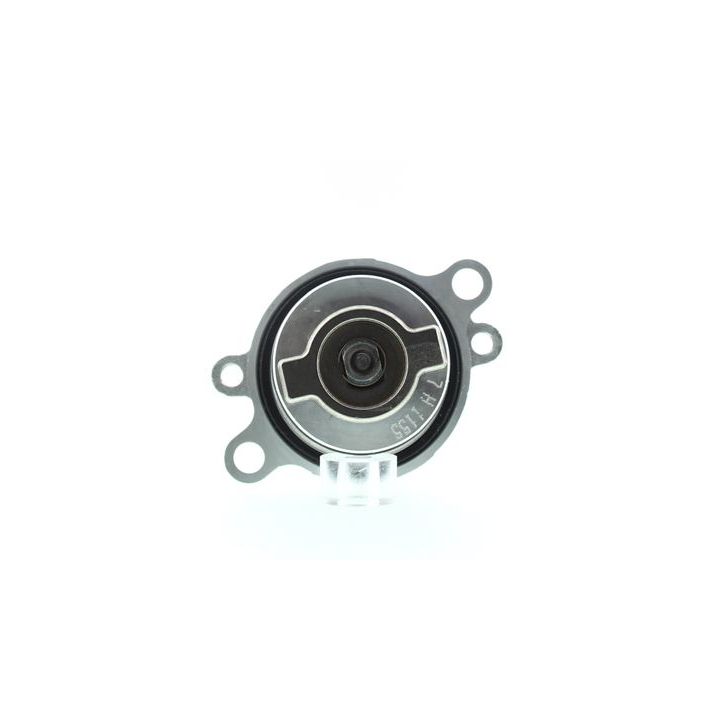 Vandens siurblys, variklio aušinimas AISIN WE-FI23