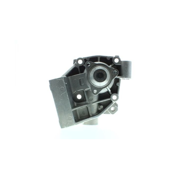 Vandens siurblys, variklio aušinimas AISIN WE-FI25