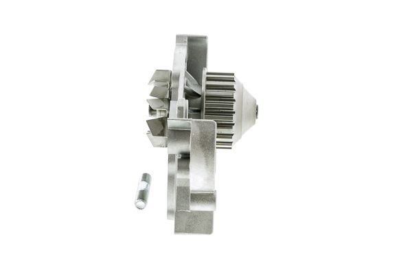 Vandens siurblys, variklio aušinimas AISIN WE-RE07