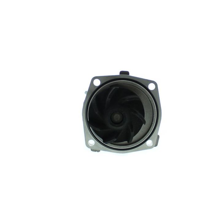 Vandens siurblys, variklio aušinimas AISIN WPA-001