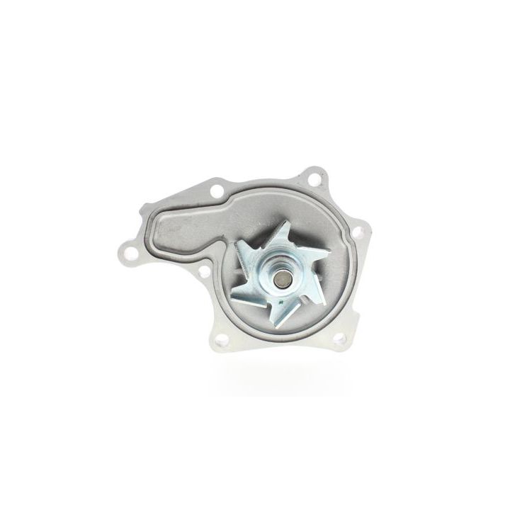 Vandens siurblys, variklio aušinimas AISIN WPG-001V