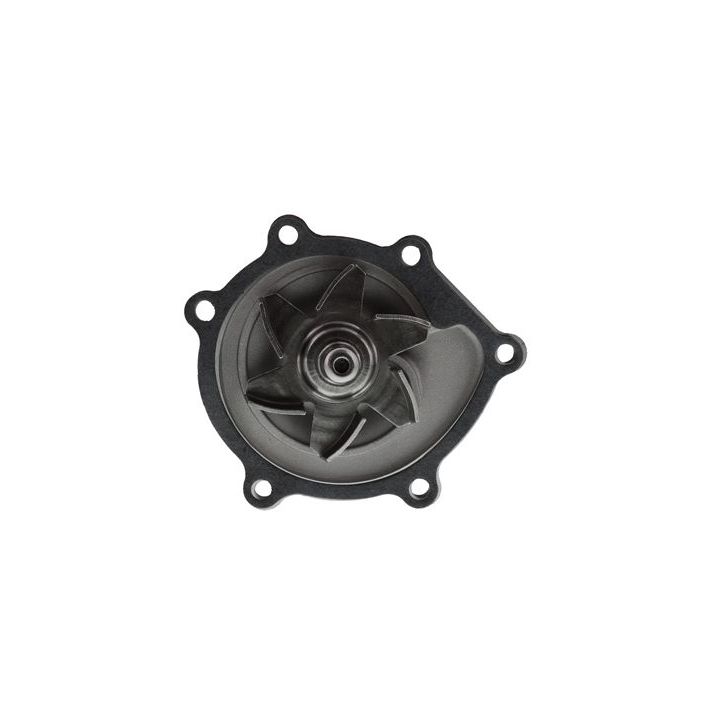 Vandens siurblys, variklio aušinimas AISIN WPG-025V