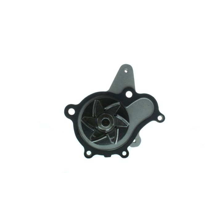 Vandens siurblys, variklio aušinimas AISIN WPHY-700