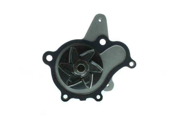 Vandens siurblys, variklio aušinimas AISIN WPHY-700