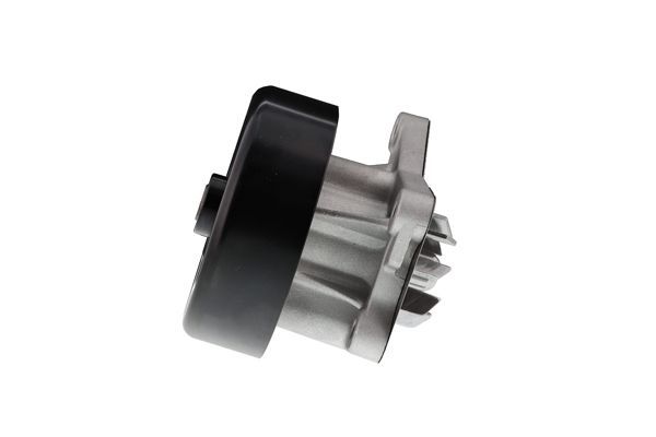 Vandens siurblys, variklio aušinimas AISIN WPN-916