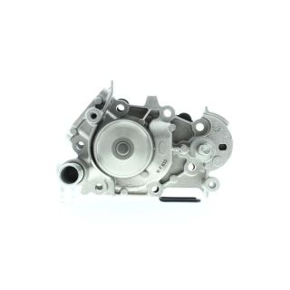 Vandens siurblys, variklio aušinimas AISIN WPN-920