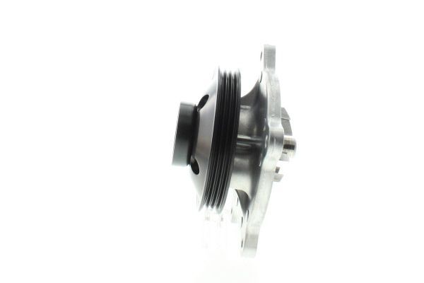 Vandens siurblys, variklio aušinimas AISIN WPT-200