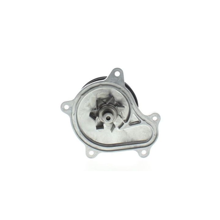 Vandens siurblys, variklio aušinimas AISIN WPT-200