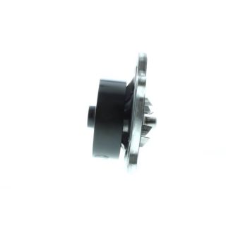 Vandens siurblys, variklio aušinimas AISIN WPT-203