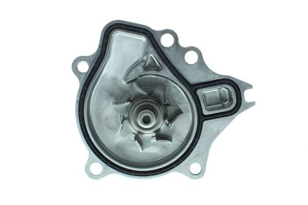 Vandens siurblys, variklio aušinimas AISIN WPT-203