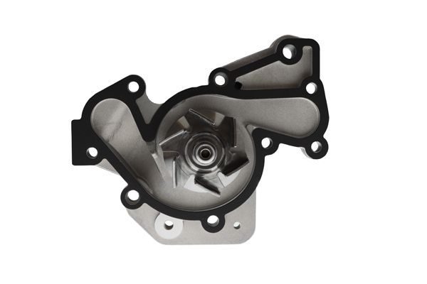 Vandens siurblys, variklio aušinimas AISIN WPY-006