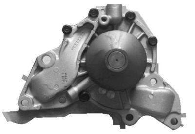 Vandens siurblys, variklio aušinimas AISIN WPY-016