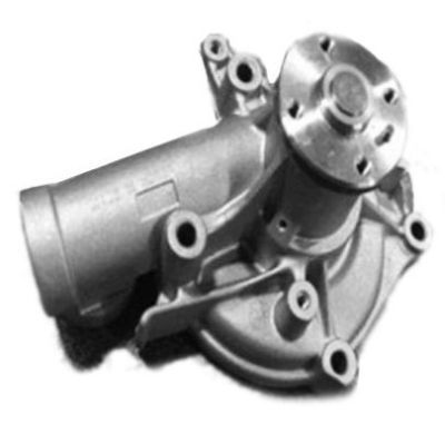 Vandens siurblys, variklio aušinimas AISIN WPY-019