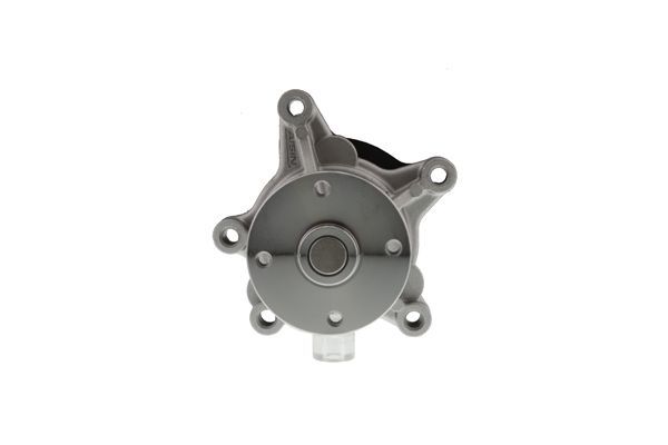 Vandens siurblys, variklio aušinimas AISIN WPY-025