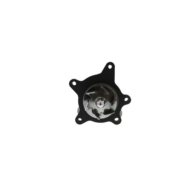 Vandens siurblys, variklio aušinimas AISIN WPY-025