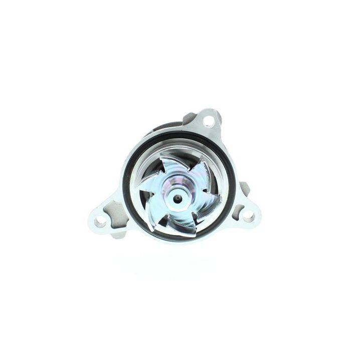 Vandens siurblys, variklio aušinimas AISIN WPY-053