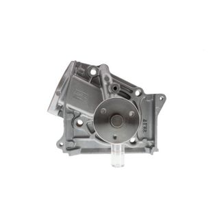 Vandens siurblys, variklio aušinimas AISIN WPZ-001