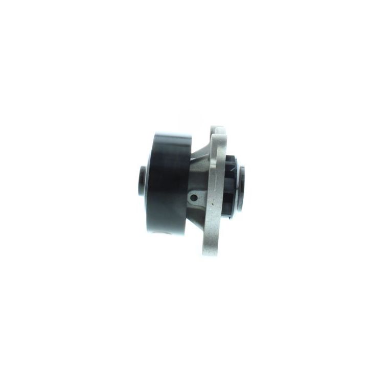 Vandens siurblys, variklio aušinimas AISIN WPZ-700