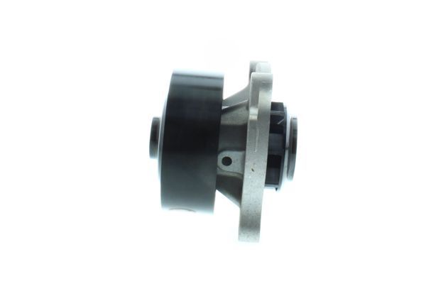 Vandens siurblys, variklio aušinimas AISIN WPZ-700