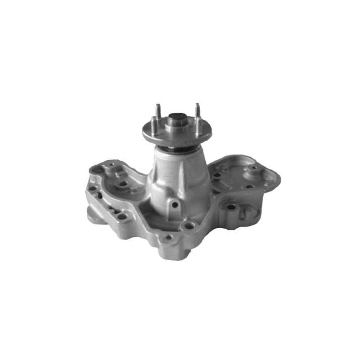 Vandens siurblys, variklio aušinimas AISIN WPZ-910