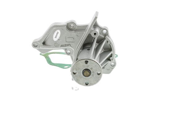 Vandens siurblys, variklio aušinimas AISIN WPZ-912