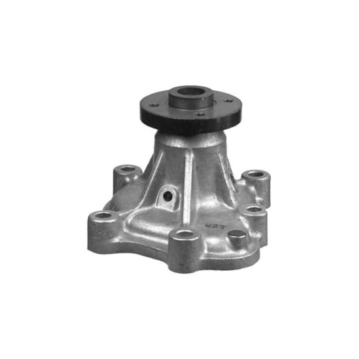 Vandens siurblys, variklio aušinimas AISIN WPZ-923