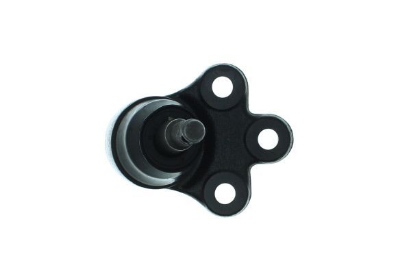 Šarnyras / girgždukas AISIN JBJDO-002