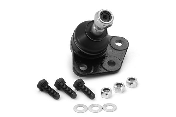 Šarnyras / girgždukas AISIN JBJFC-001