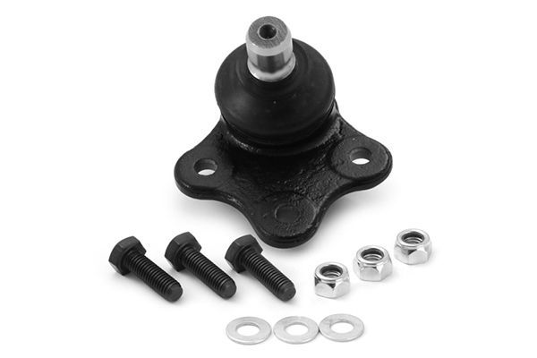 Šarnyras / girgždukas AISIN JBJFD-005