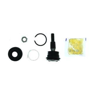 Šarnyras / girgždukas AISIN JBJHY-003