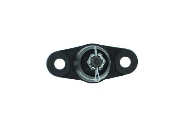 Šarnyras / girgždukas AISIN JBJHY-012