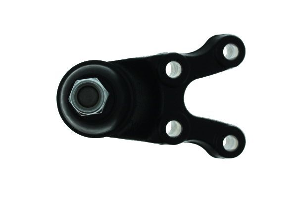 Šarnyras / girgždukas AISIN JBJHY-016