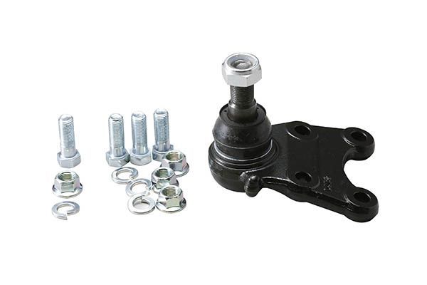 Šarnyras / girgždukas AISIN JBJIS-001