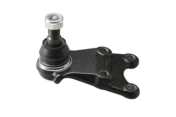 Šarnyras / girgždukas AISIN JBJIS-010