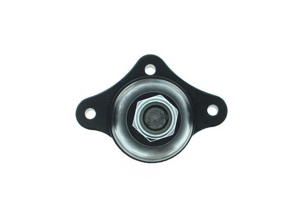 Šarnyras / girgždukas AISIN JBJKI-003