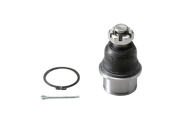 Šarnyras / girgždukas AISIN JBJKI-004