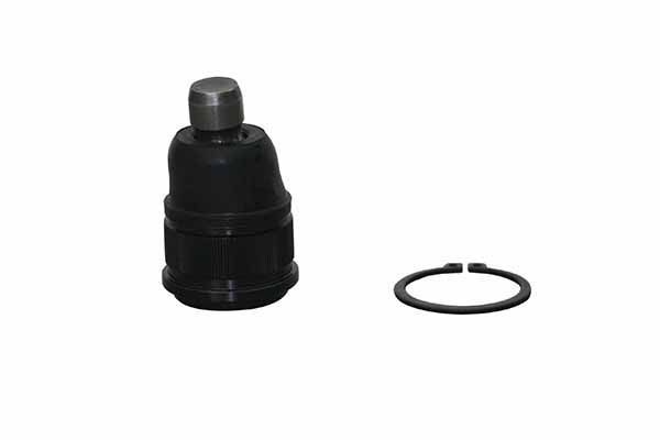 Šarnyras / girgždukas AISIN JBJKI-008