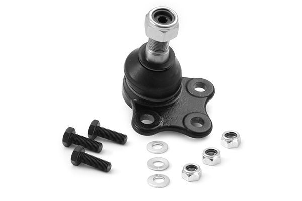 Šarnyras / girgždukas AISIN JBJN-001