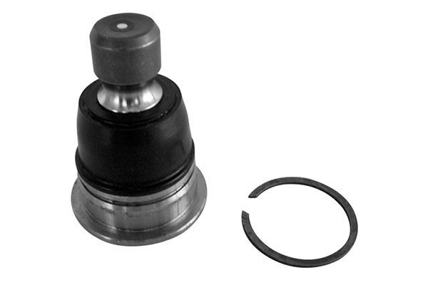 Šarnyras / girgždukas AISIN JBJN-004