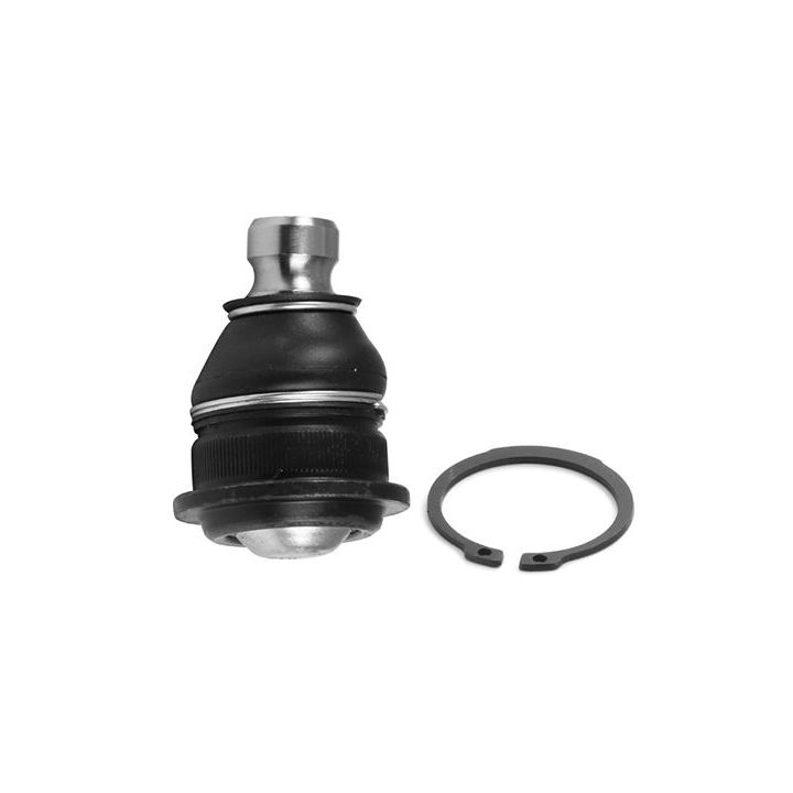 Šarnyras / girgždukas AISIN JBJRE-004