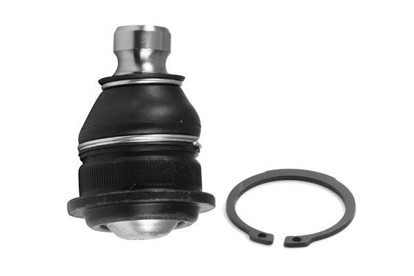 Šarnyras / girgždukas AISIN JBJRE-004