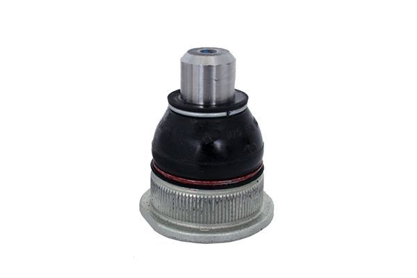 Šarnyras / girgždukas AISIN JBJRE-010